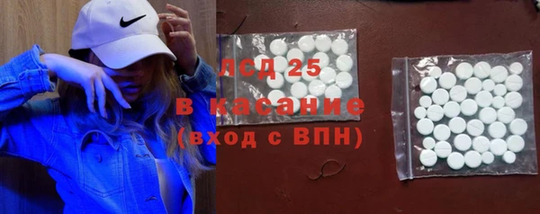 крисы Бородино