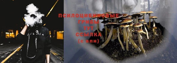 2c-b Верхнеуральск