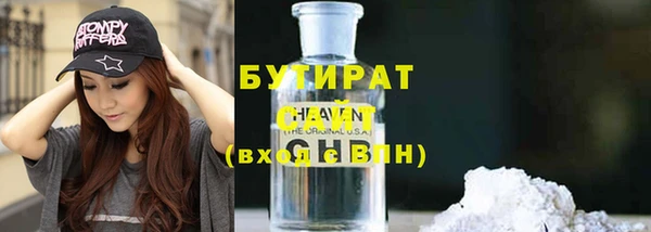 крисы Бородино