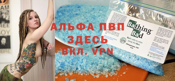 крисы Бородино