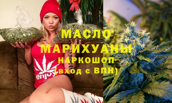 крисы Бородино