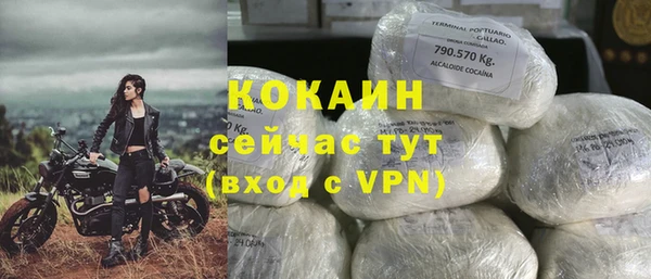 крисы Бородино