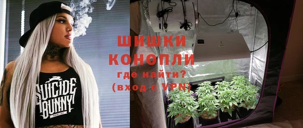 крисы Бородино