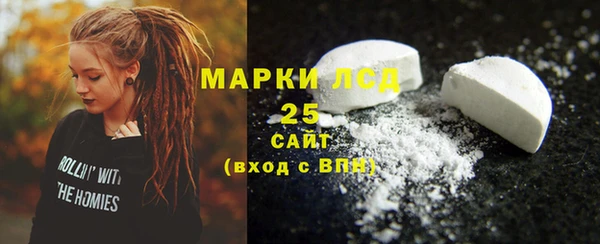 крисы Бородино