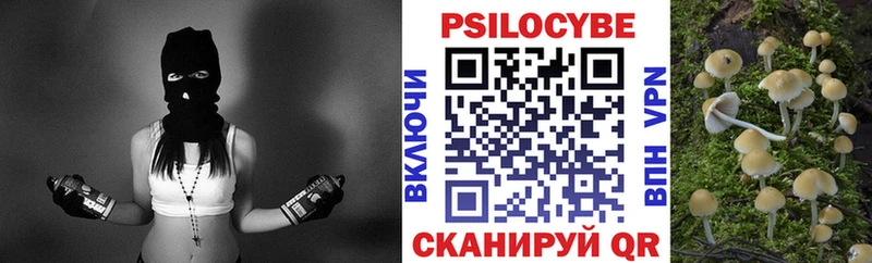МЕГА tor  Качканар  Галлюциногенные грибы мухоморы  дарнет шоп 